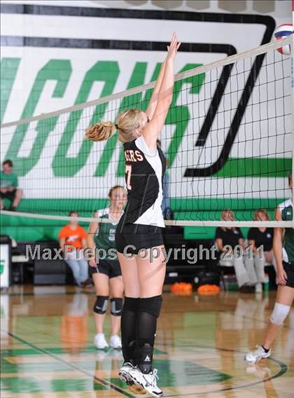 Thumbnail 3 in Webster @ Siren photogallery.