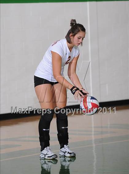 Thumbnail 2 in Webster @ Siren photogallery.