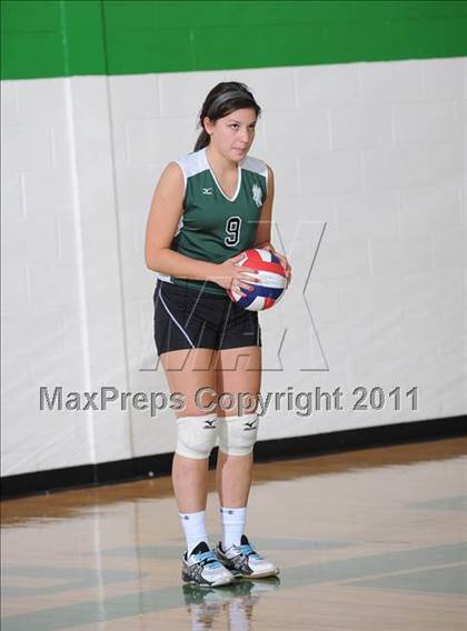 Thumbnail 2 in Webster @ Siren photogallery.