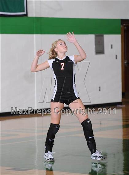 Thumbnail 3 in Webster @ Siren photogallery.