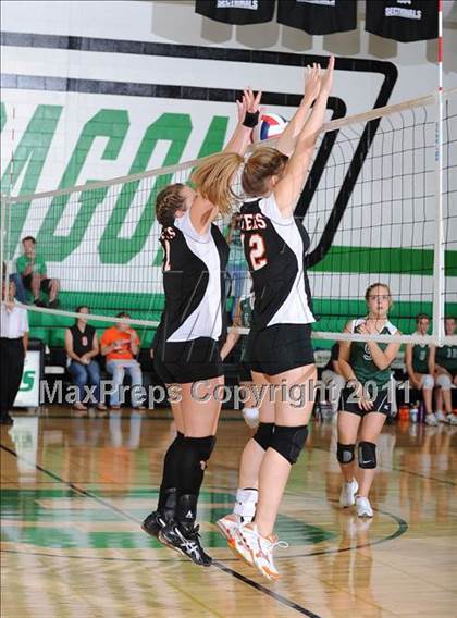 Thumbnail 1 in Webster @ Siren photogallery.