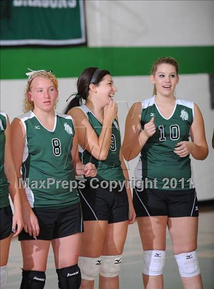 Thumbnail 3 in Webster @ Siren photogallery.