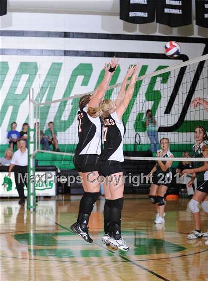 Thumbnail 1 in Webster @ Siren photogallery.