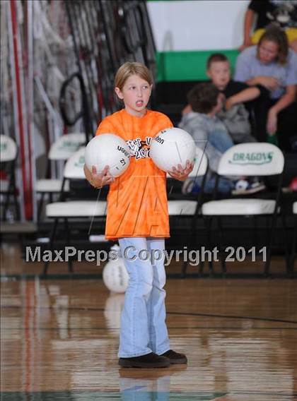 Thumbnail 1 in Webster @ Siren photogallery.