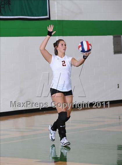 Thumbnail 3 in Webster @ Siren photogallery.