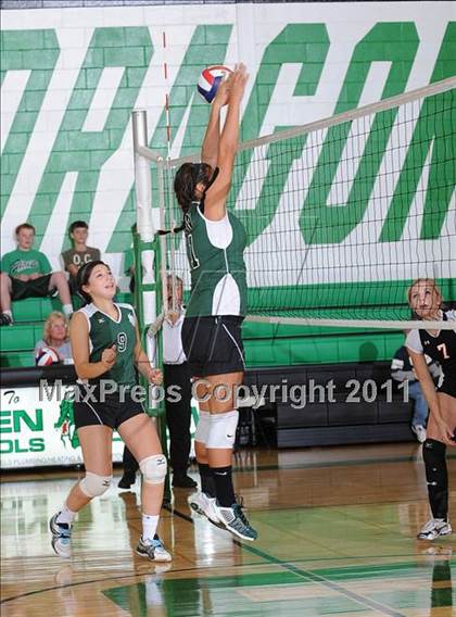 Thumbnail 1 in Webster @ Siren photogallery.