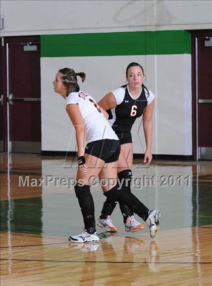 Thumbnail 2 in Webster @ Siren photogallery.