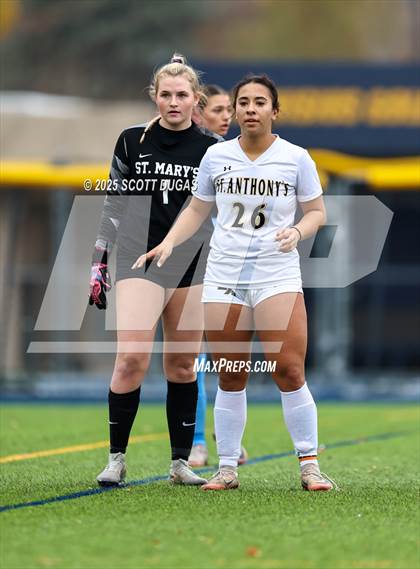 Thumbnail 3 in St. Mary's vs. St. Anthony's (NYS Catholic Championship) photogallery.