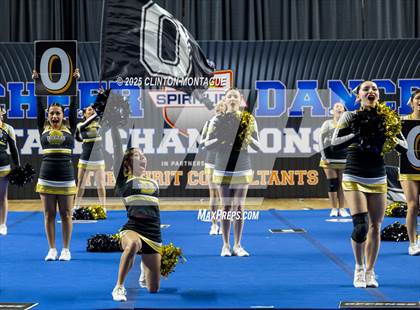 Thumbnail 3 in Douglas - Cheer (AIA Division III-IV Prelims) photogallery.