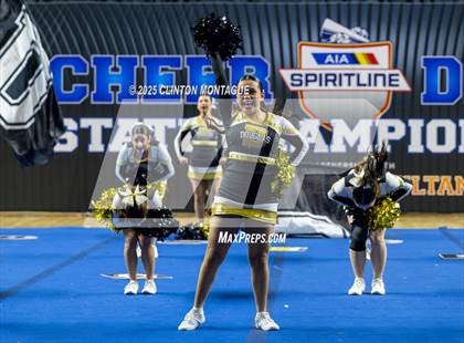 Thumbnail 2 in Douglas - Cheer (AIA Division III-IV Prelims) photogallery.