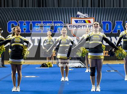 Thumbnail 1 in Douglas - Cheer (AIA Division III-IV Prelims) photogallery.