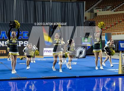 Thumbnail 2 in Douglas - Cheer (AIA Division III-IV Prelims) photogallery.