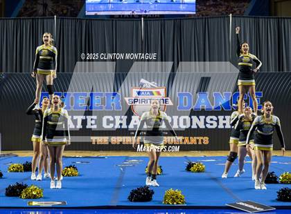 Thumbnail 3 in Douglas - Cheer (AIA Division III-IV Prelims) photogallery.