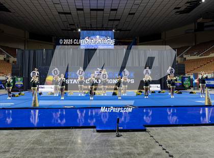 Thumbnail 1 in Douglas - Cheer (AIA Division III-IV Prelims) photogallery.