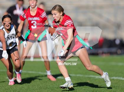 Thumbnail 1 in Chaparral vs. Rock Canyon (CHSAA 5A 2nd Round) photogallery.