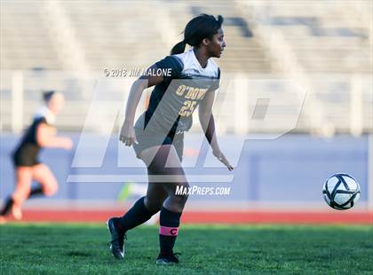 Thumbnail 1 in Newark Memorial vs. Bishop O'Dowd (CIF-NCS D2 Rd1) photogallery.