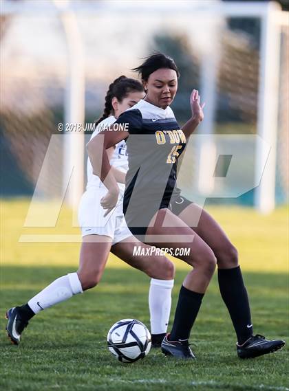 Thumbnail 1 in Newark Memorial vs. Bishop O'Dowd (CIF-NCS D2 Rd1) photogallery.