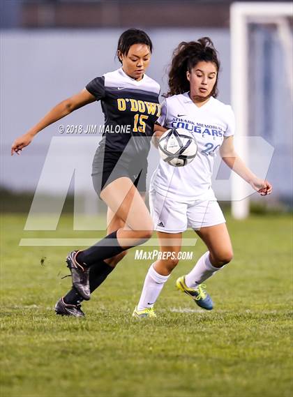 Thumbnail 3 in Newark Memorial vs. Bishop O'Dowd (CIF-NCS D2 Rd1) photogallery.