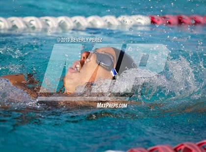 Thumbnail 2 in Knight @ Quartz Hill photogallery.
