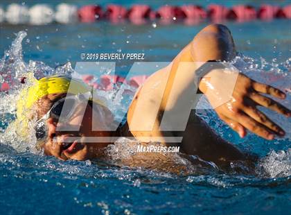 Thumbnail 1 in Knight @ Quartz Hill photogallery.