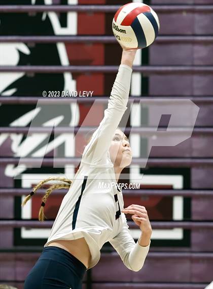 Thumbnail 2 in Perry @ Hamilton photogallery.