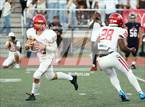Photo from the gallery "Annandale @ Edison"