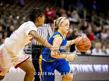 Thumbnail 2 in Newport Central Catholic vs Holy Cross (KHSAA 9th Region Tournament) photogallery.