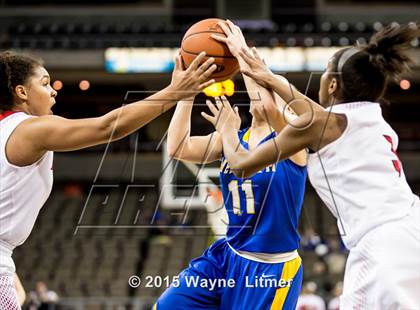 Thumbnail 1 in Newport Central Catholic vs Holy Cross (KHSAA 9th Region Tournament) photogallery.