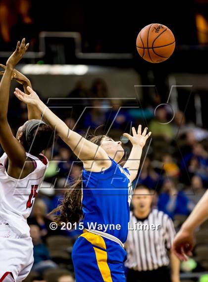Thumbnail 1 in Newport Central Catholic vs Holy Cross (KHSAA 9th Region Tournament) photogallery.