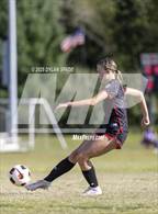 Photo from the gallery "PikeView vs Princeton"