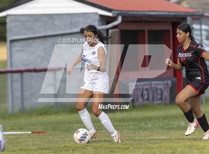 Thumbnail 1 in PikeView vs Princeton photogallery.