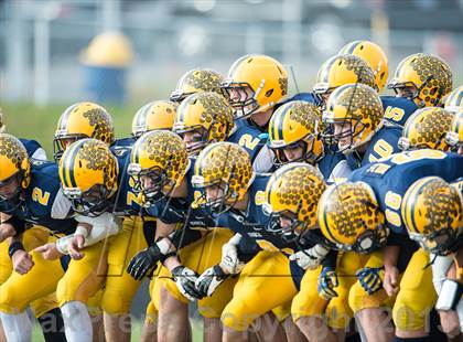 Thumbnail 3 in Ithaca vs. Negaunee (MHSAA Region 1 Division 6 Final) photogallery.