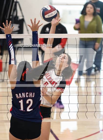 Thumbnail 1 in Albany @ Rancho Cotate (NorCal Invitational)  photogallery.