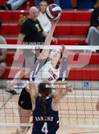 Photo from the gallery "Albany @ Rancho Cotate (NorCal Invitational) "