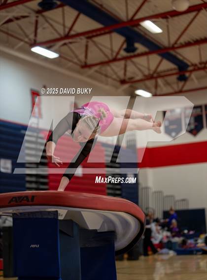 Thumbnail 1 in Patriot Invitational (Vault) photogallery.