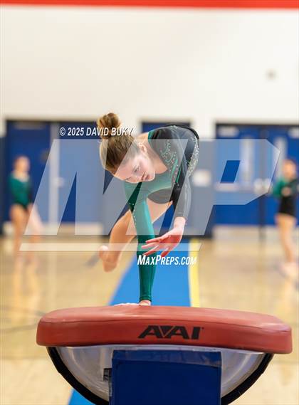 Thumbnail 1 in Patriot Invitational (Vault) photogallery.