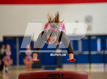 Thumbnail 1 in Patriot Invitational (Vault) photogallery.