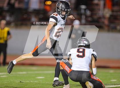 Thumbnail 3 in Norman @ Mustang photogallery.