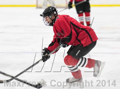 Thumbnail 2 in Northview @ Jenison photogallery.