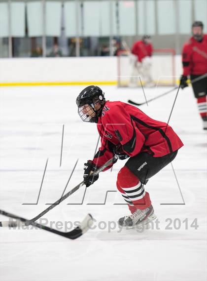 Thumbnail 3 in Northview @ Jenison photogallery.