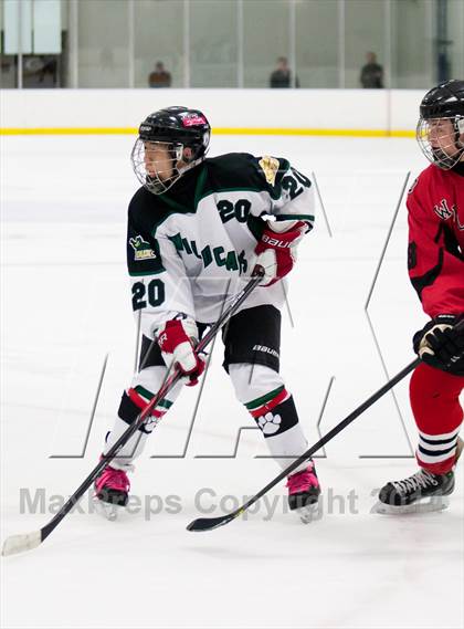 Thumbnail 3 in Northview @ Jenison photogallery.