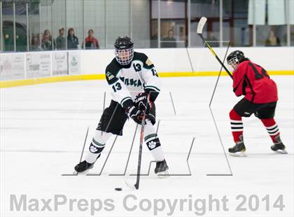 Thumbnail 3 in Northview @ Jenison photogallery.
