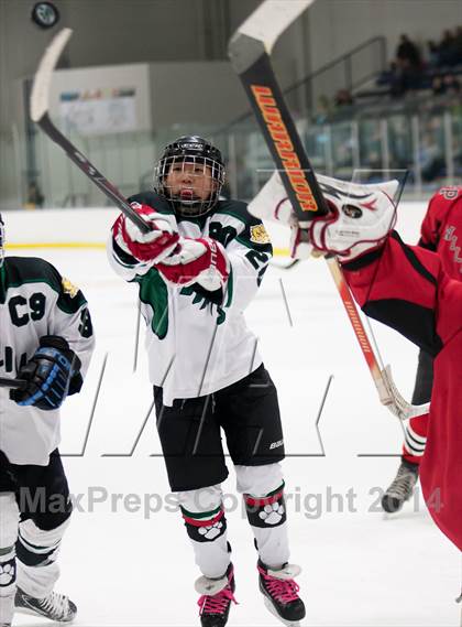 Thumbnail 3 in Northview @ Jenison photogallery.