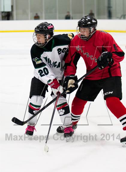 Thumbnail 1 in Northview @ Jenison photogallery.