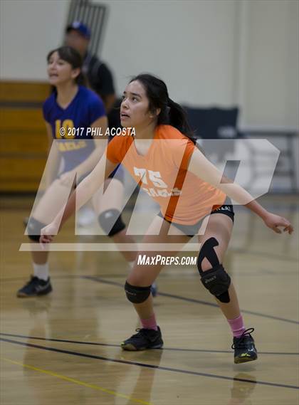 Thumbnail 1 in Cantwell-Sacred Heart vs Holy Family photogallery.