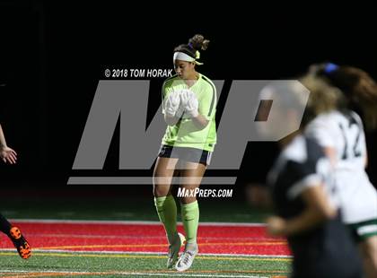 Thumbnail 1 in Ramapo @ Northern Highlands photogallery.
