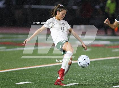Thumbnail 2 in Ramapo @ Northern Highlands photogallery.