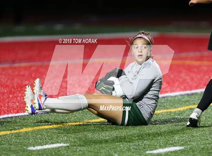 Thumbnail 3 in Ramapo @ Northern Highlands photogallery.