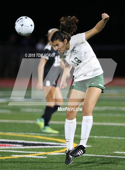 Thumbnail 3 in Ramapo @ Northern Highlands photogallery.