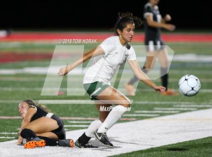 Thumbnail 1 in Ramapo @ Northern Highlands photogallery.